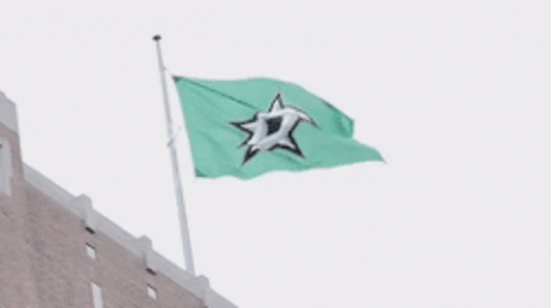 Dallas Stars Flag GIF - Dallas Stars Flag Stars GIFs