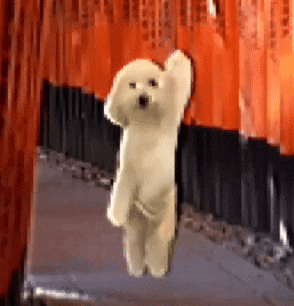 a small white dog is hanging upside down from a red fence .