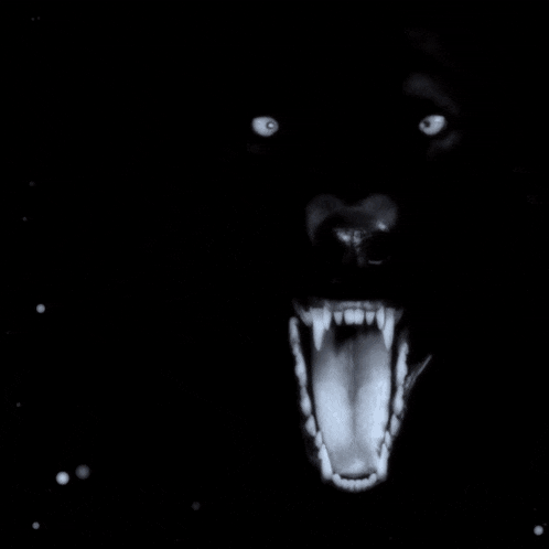 a close up of a man 's face with a dark background