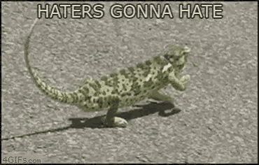 Haters Gonna Hate Chameleon GIF - Haters Gonna Hate Chameleon GIFs