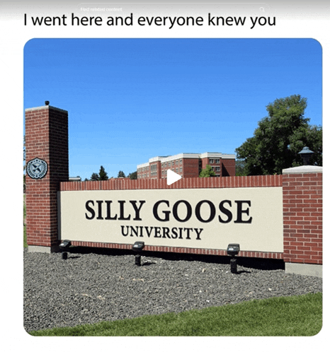 a sign for silly goose university with a play button on it