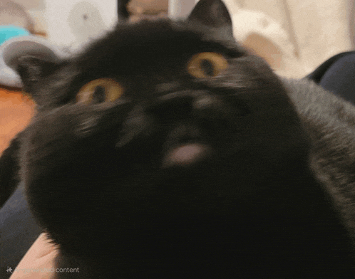 a black cat with yellow eyes is being held in someone 's arms
