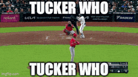 a baseball game is being played in front of a crowd and a sign says tucker who tucker who
