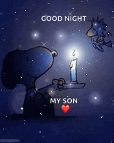 Good Night Sleep Tight GIF - Good Night Sleep Tight Snoopy And Woodstock GIFs