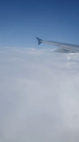 Airplane Flight GIF - Airplane Flight On Board GIFs