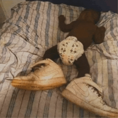 a baby is laying on a bed with a pair of nike shoes on top of him