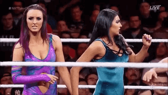 two female wrestlers are standing in a ring talking to each other .