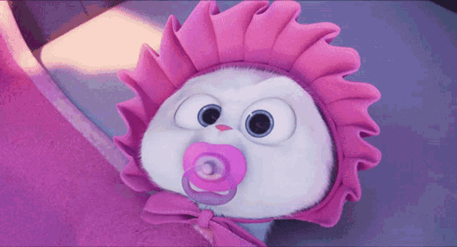 a stuffed animal wearing a pink hat and pacifier