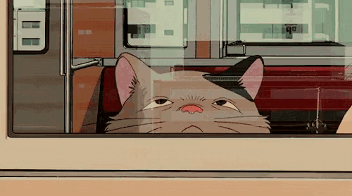 a cat is looking out of a window with a sign that says go