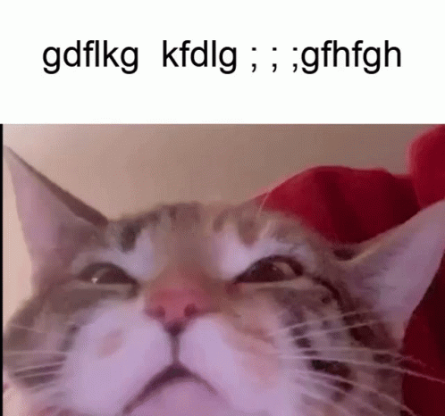 Cat Cat Talking GIF - Cat Cat Talking Cat Meme GIFs