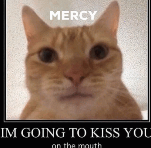 Endermilf Mercy GIF - Endermilf Mercy Kiss GIFs