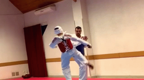 Taekwondo Tkd GIF - Taekwondo Tkd Karate GIFs