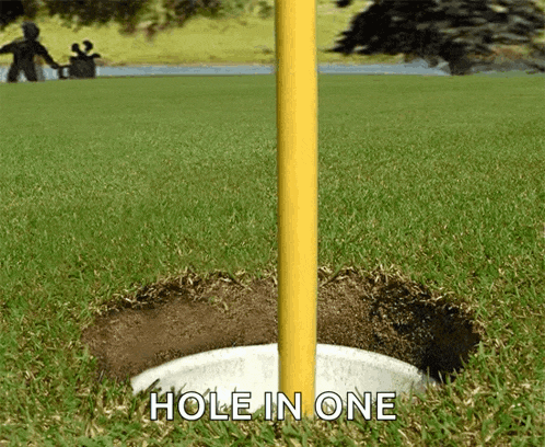 a picture of a golf hole with the words hole in one on the bottom