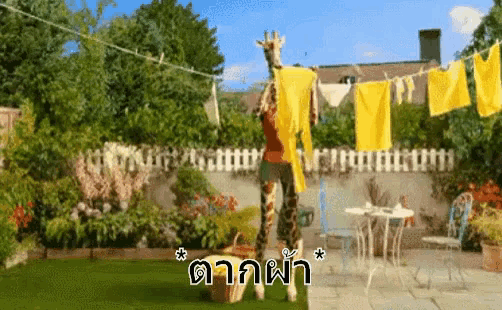 a giraffe is standing next to a clothes line with yellow clothes