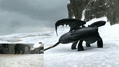 Toothless Cat GIF - Toothless Cat How Totrain You Dragon GIFs