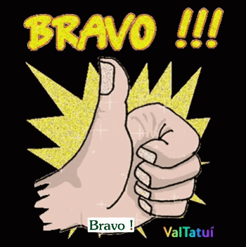 Bravo Valtatui GIF - Bravo Valtatui Bravo GIFs