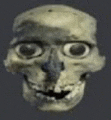 a close up of a skull with big eyes and a mouth .