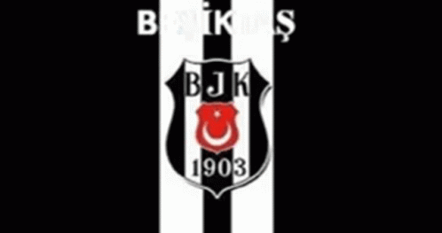 Beşiktaş Bjk GIF - Beşiktaş Bjk GIFs