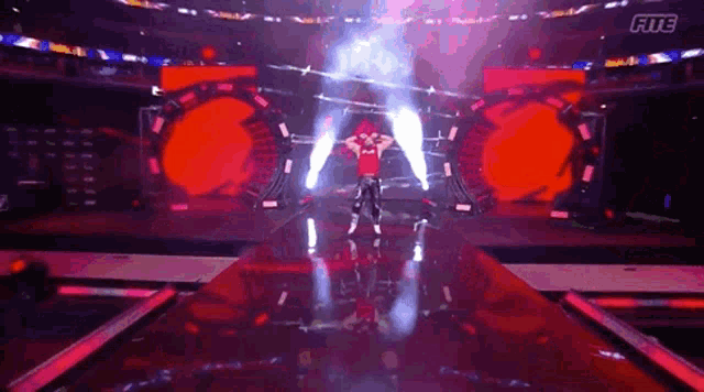 a man in a red shirt is standing on a stage in front of a sign that says fite .