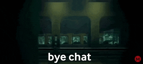a screenshot of a video game with the words bye chat