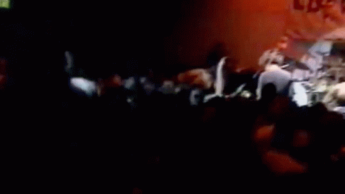 Concert Rage Against The Machine GIF - Concert Rage Against The Machine Killing In The Name GIFs