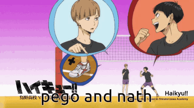 a poster for haikyuu shows a volleyball game between pego and nathan