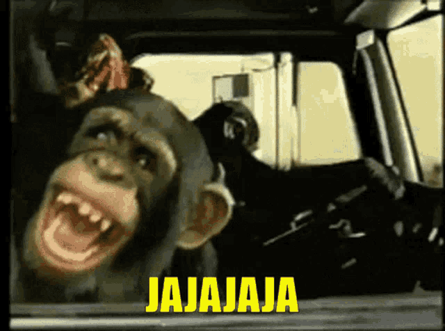 a chimpanzee is laughing in a car with the word jajaja in yellow