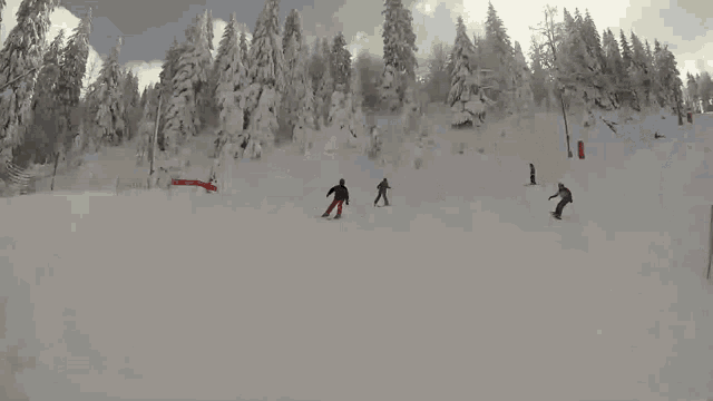 Ski Fail GIF - Ski Fail GIFs