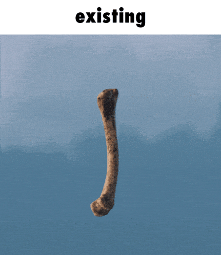 a bone is floating in the air with the word existing above it