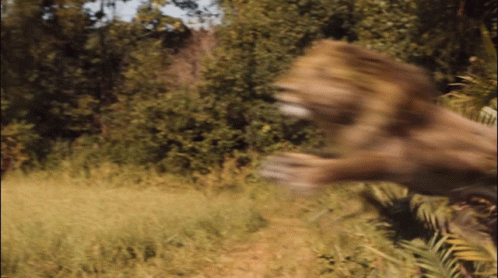 Pounce Coming To America2 GIF - Pounce Coming To America2 Eager GIFs
