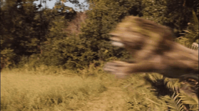 a blurred image of a person walking through a grassy field