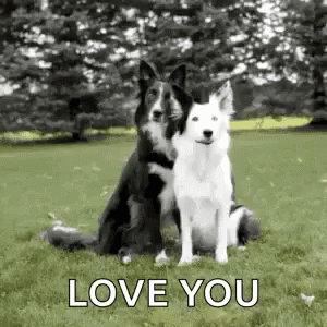 Dog Hugs GIF - Dog Hugs Love You GIFs