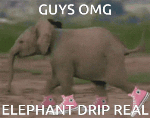 Elephant Drip GIF - Elephant Drip Elephant Drip GIFs