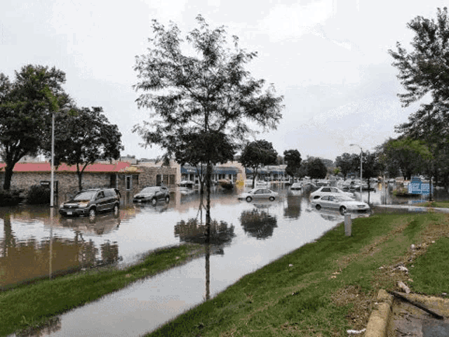 cars are driving down a flooded street in front of a building .