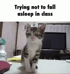 Falling Asleep GIF - Falling Asleep Class GIFs