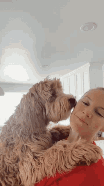 a woman is holding a dog in her arms and the dog is sniffing the woman 's face