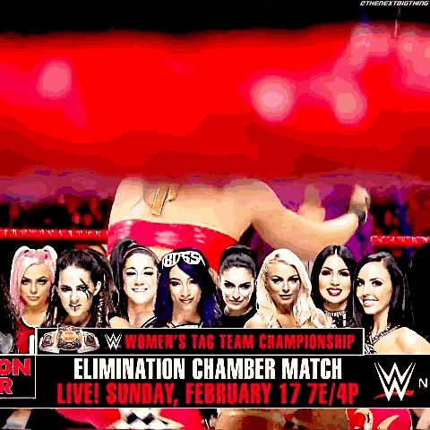 the women 's tag team championship elimination chamber match is being held on sunday february 17th
