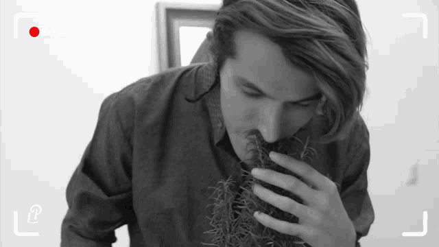 a black and white photo of a man smelling a rosemary plant