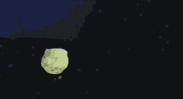 a yellow jellyfish is floating in the dark water