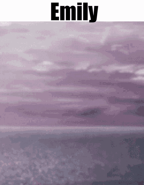 emily is the name displayed on the purple background