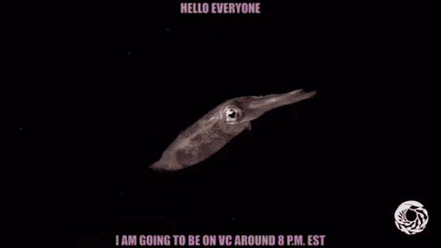 a squid is swimming in the dark with the words `` hello everyone '' written on it .