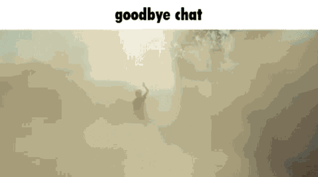 a silhouette of a man standing in a foggy field with the words `` goodbye chat '' above him .