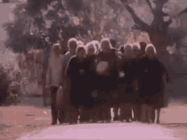 a large group of people are walking down a street in a park .