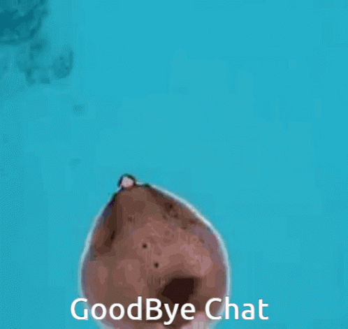 Goodbyechat GIF - Goodbyechat GIFs