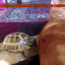 a turtle is sitting next to another turtle with a caption that says " данные удалены "