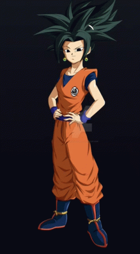 Dragon Ball Z GIF - Dragon Ball Z GIFs