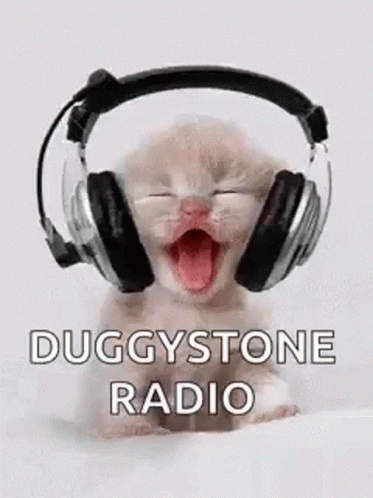 Duggy Stone Duggy Stone Radio GIF - Duggy Stone Duggy Stone Radio Cute GIFs