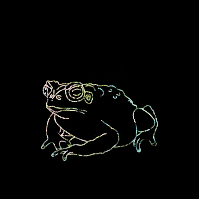 a drawing of a frog with a rainbow colored outline on a black background