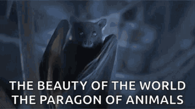 a bat is flying through the air with the words the beauty of the world the paragon of animals below it