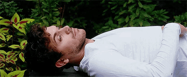 a man is laying on a bench with his eyes closed in front of a bush .